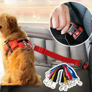 Dog  Safety Seat Belt